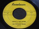 Thunder Rocks   What's The Word   Roselawn   Detroit garage rockabilly 45 HEAR ?
