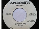 BEN ZINE - village of tears b/w what the heck's the hanky panky - PARKWAY
