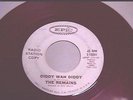 THE REMAINS Diddy Wah Diddy 45 Killer Boston Mod Garage Promo Epic label  vg++