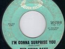 SUPER SATURN MOD R&B ROCKER / ROCKABILLY - THE STING RAYS - HOT CROSSOVER HEAR