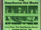 Beach Boys - The Hawthorne Hot Shots - 2 Limited Edition 33 1/3 7 Inch Records