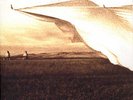 Neil Young, Prairie Wind 2LP Test Pressing SS