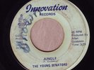 YOUNG SENATORS - Jungle. Rare Washington DC funk on INNOVATION. MP3