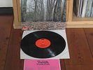 Twink - LP Think Pink (1970 Polydor/Germany) - head in the 