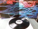 HAIRY CHAPTER          - CAN´T GET THROUGH -   MINT ARCHIVE ORIGINAL 1971