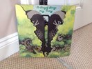 DR STRANGELY STRANGE   HEAVY PETTING   LARGE VERTIGO SWIRL UK LP 1970   2/1 1/1