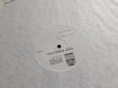 PJ Harvey John Parish Dance Hall At Louse Point Lp Test Pressing Mint
