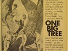 FRESH WIND ONE BIG TREE RARE ORIG PRIVATE SOUL FUNK LP ON STAR RECORDS