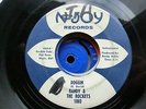 Randy & The Rockets - Doggin` N-JOY  45