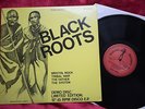 BLACK ROOTS - BRISTOL ROCK - 12