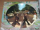 Beatles Abbey Road Vinyl LP Picture Disc  excellent condition