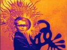 Brian Jonestown Massacre Fist Full Of Bees 12