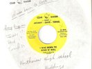 PUNK ROCK  JAVANY - DAVE - TERNEL CA GLAM / PROTO  PUNK '77 KBD  LISTEN