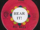Bill Haley and His Comets ROCK & ROLL 45 (WB 5154) Hawk/Chick Safari