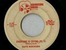 Dave Robinson 