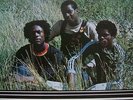 THE MEDITATIONS - MESSAGE FROM .. (WILD FLOWER) 1977 J.A IMPORT  EX COND