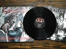 The Exploited - death before dishonour - Vinyl LP aus 1987
