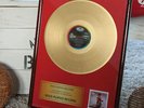 GOLDENE Schallplatte von TINA TURNER für Private Dancer - (Vinyl Golden Record)