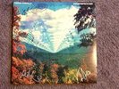 Tame Impala Innerspeaker Vinyl LP SIGNED BY BAND AUTHENTIC PROOF auto autograph