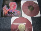 TOOL LATERALUS X2 LPS PURPLE WAX MUDHONEY GREENDAY RANCID RAMSTEIN