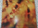 STEAMHAMMER - REFLECTION.  LP  MONO