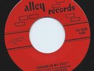 Rare Arkansas Garage Psych 45 PURPLE CANTEEN 'Brains in My Feet' Alley Listen