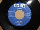MILDRED SCOTT and HILBILLIES Drop Out SADNESS IN HEART N.O. Soul 45 BIG BEE 401