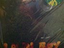 PHISH LAWN BOY DELUXE LP 2 X 12