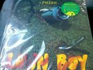 Phish Lawn Boy Deluxe Ltd Ed Vinyl LP RSD 2013 Record Store Day New Sealed #'D