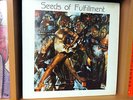 SEEDS OF FULFILLMENT lp on Fulfillment Productions RARE PRIVATE PRESS JAZZ FUNK
