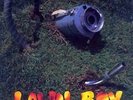 Phish - Lawn Boy 180 gram Vinyl LP RSD 2013 NUMBERED LTD EDITION *SEALED*