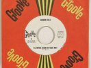 CARMEN COLE “I’ll Never Stand In Your Way” northern soul 45 GROOVE demo 