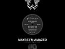 rare Paul McCartney WINGS maybe i'm amazed Record Store Day LIVE 12