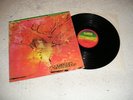 DOLDINGER´S MOTHERHOOD SAME ´82 near Mint