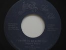 Modern Soul Disco 45 - Gregory Andre - I Want To Be With You - Sea Side - mp3