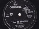 TWILIGHTS - Tell me goodbye/Comin' on down OZ Psych/Pop TERRY BRITTEN