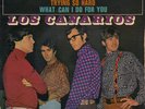Los Canarios - What Can I Do For You - Killer Mod Freakbeat Soul  - 45 7