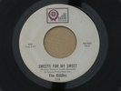 RIDDLES IT'S ONE THING QUILL orig US GARAGE MOD BEAT FOLK ROCK NM 7