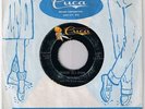 RAYLENE AND THE BLUE ANGELS 45 rpm SHAKIN' ALL OVER WISCONSIN ROCKABILLY CUCA