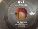 NORTHERN SOUL R & B Group THE CARPETS 