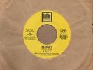 Rokk - Patience - Tollie 2nd