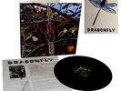 DRAGONFLY Dragonfly LP 1970 Limited Vinyl+Gatefold + Insert Heavy USA Acid Psych