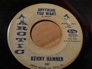 KENNY HAMBER Arctic 131 ANYTHING YOU WANT / AIN'T GONNA CRY -RARE NORTHERN -Hear