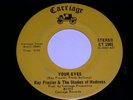 Ray Frazier Shades Madness 45 Rpm Record Carriage Label