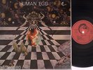 HUMAN EGG s/t RARE ORIG. LIZARD MASSIERA TORELLI COSMIC PROG DISCO LP ? MINT