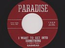 '60s Texas R&B/DEEP SOUL GASHEAD I Want To Get Into Something/I'm Too Good HEAR