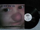Cows Effete and Impudent Snobs  LP