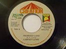 ROOTS KILLER -  PROMISED LAND  GADFREY LEWIS  on the CREATION LABEL ORIG, 45