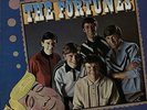 THE FORTUNES Remembering... 1976 UK 12-track LP UK vinyl LP EXCELLENT CONDITION