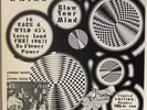 RARE #45/400 Psychedelic Disaster Whirl Frantic Records Garage Rock MONO LP